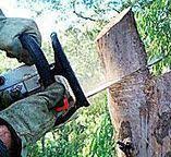 Best Utility Line Clearance  in Annetta, TX